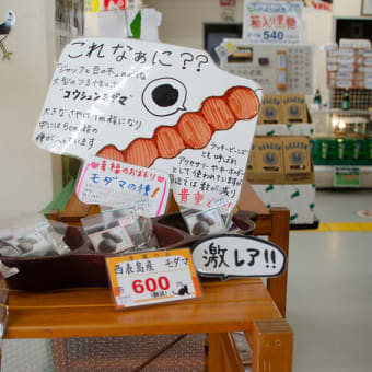 スクリーンセーバーの画像
