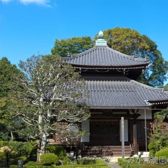 京都府京都市・安楽寺 本堂
