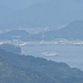 客船のみで一日が終わる予定だったのですが、、、（花火も、、、）（笑）