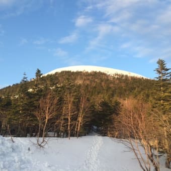 今年もよろしくお願い致します。