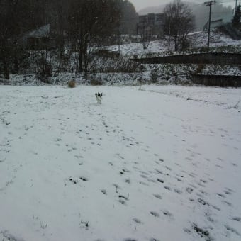 雪遊び