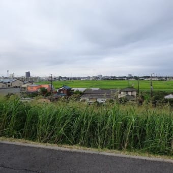 参院選まであと一週間だが･･･