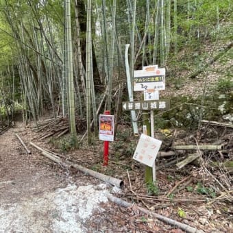 菩提山城に登ってきました