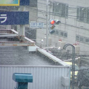 雪まで降ってきました！