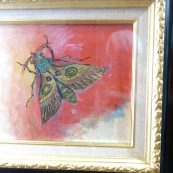 Moth   ２０２５.０６.１３