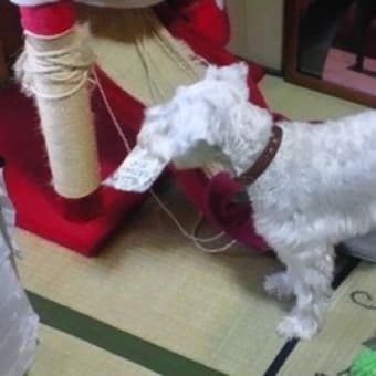 台風一過