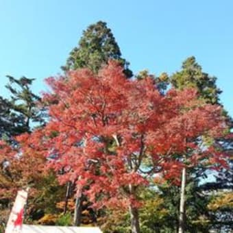 高尾山で紅葉狩り　その1