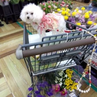 眼は大事にしないとね