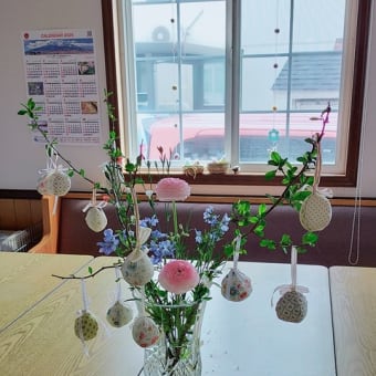 お庭の花壇も少しずつ発芽しています