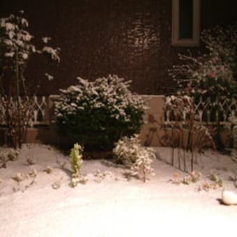 リアルタイム　初雪２