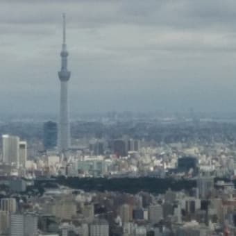 東京見物～マンボウが話しかけてきたの巻～