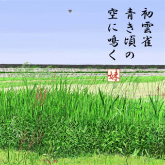 そろりとろり俳句の道～50【雲雀】