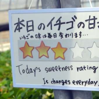 ☆楽しいいちご狩り「ぎのざストロベリーファームズ」...