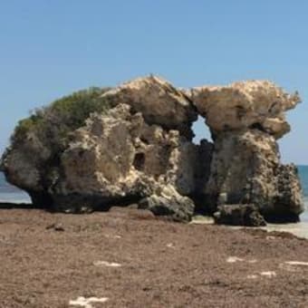 西オーストラリア旅行記　番外編 　～なぜかバンコク～