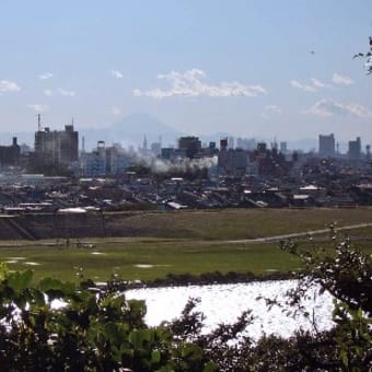 里見公園の富士とバラ