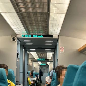上海1日め② 緊張の入国審査～高速リニアに初乗車