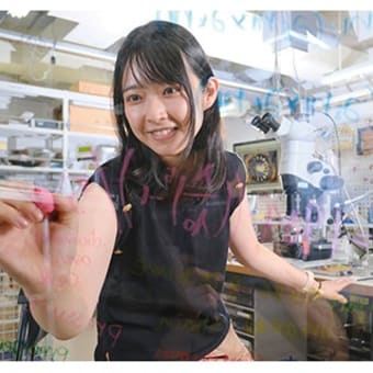 メンマパウダー