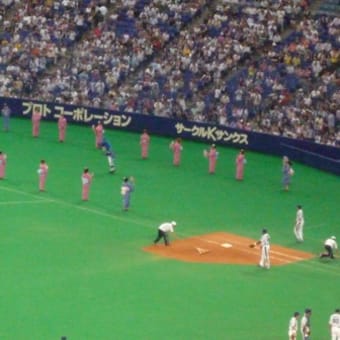 懲りずに今シーズン４回目のナゴヤドーム、広島戦を見た。