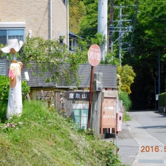 第１回青鳩トレイル大磯～大山大会地図と写真（１／６）