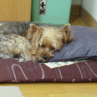 なまくらなまくら