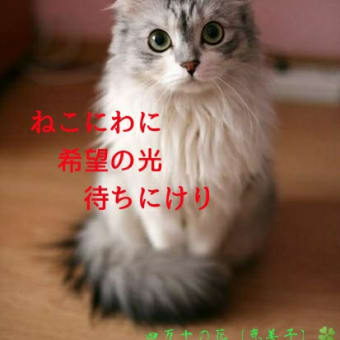 このブログでの名付け親へ向けて！ … 四万十の花より