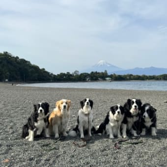 2024年春　みんなで富士山へ行こう！！　その7最終日に静岡へ