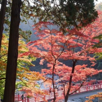 晩秋の香嵐渓