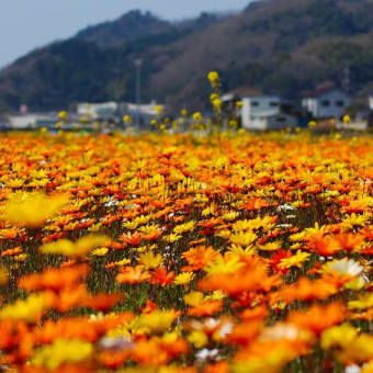 伊豆旅行記・・。