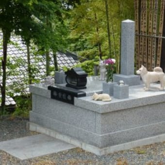 妙蓮寺の犬の廟