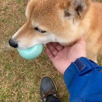 休日のルーチン