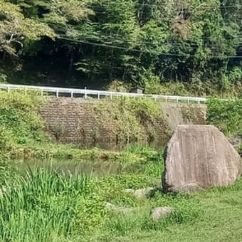 珍しい「引っ掛け」