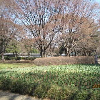 また、今日も地震ありましたね。