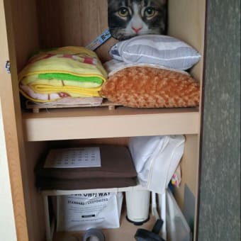 見えない所は片付けない主義。