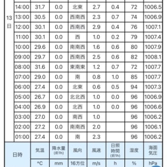 藍ケ江の海。✨☀️8月14日(水)     台風7号🌀直撃コース⁉️