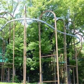 アジサイが･･･見事なホテル