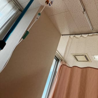 大腸内視鏡検査　セーフ