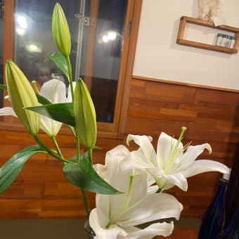 覚醒は突然やってくる