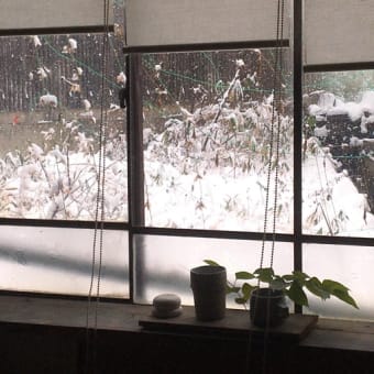 White Christmas🎄雪がたくさん降りました