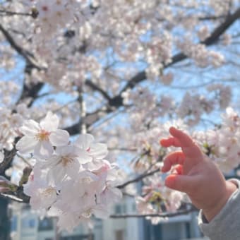 春が好き