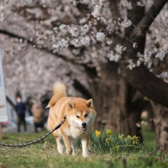 初夏の陽気