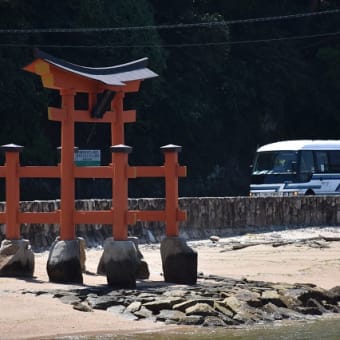 クァンタム・オブ・ザ・シーズ！広島初入港！！