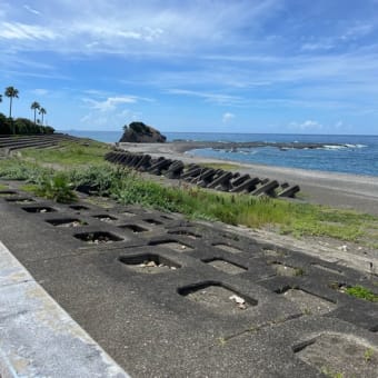 すさみでお寿司