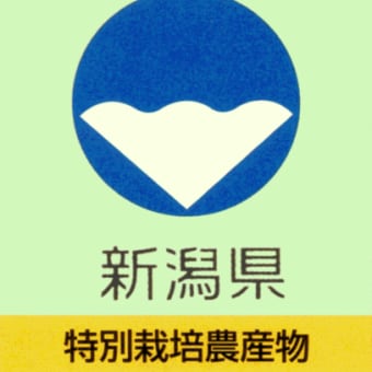 令和 6年度産　新潟県認証特別栽培米の申請書を提出