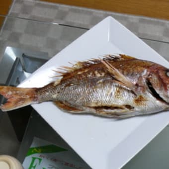 鯛