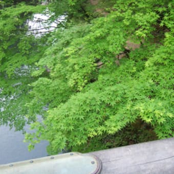 奥飛騨温泉の旅