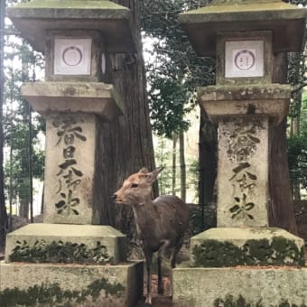 2日目