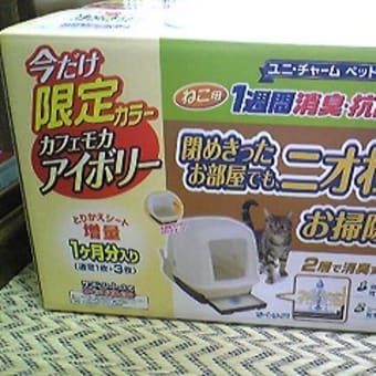 おうち6日目