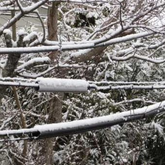 今冬一番の寒波に「雪景色」
