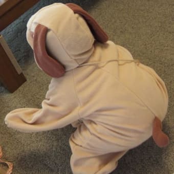 犬ではなく　丑年