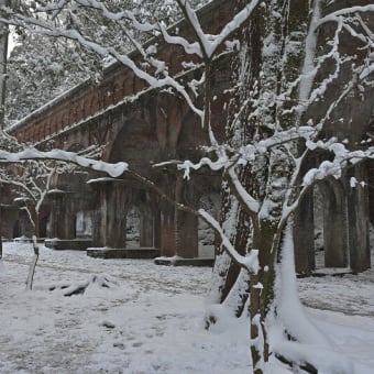 雪の京都に雪の京都に